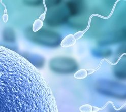 sperm-count-men